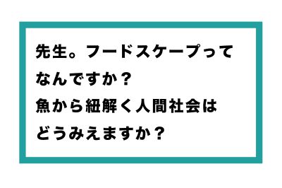 シイラ、何それおいしいの?19日開催