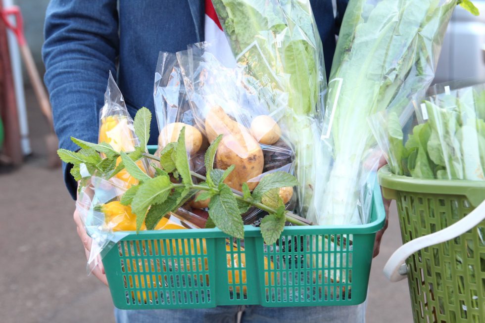 超新鮮野菜を届ける若き三人組 リンジン