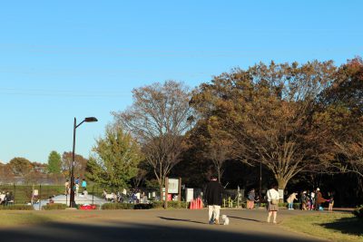 空き物件を巡る旅「公園近くで暮らす」 レポート