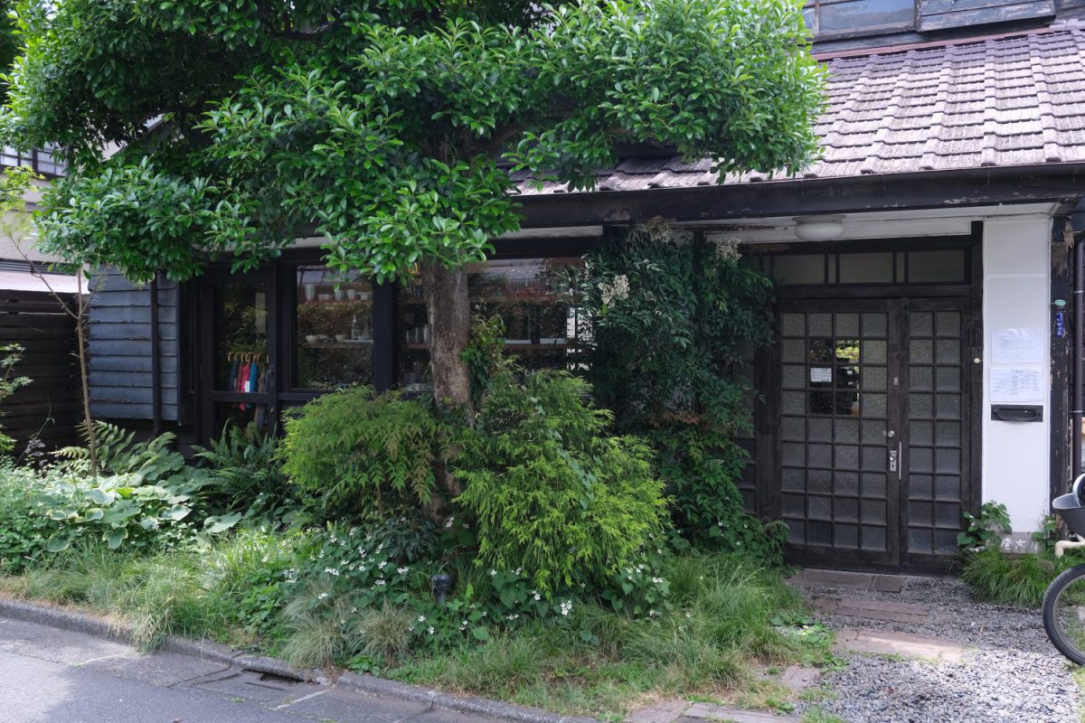 住宅街にある松庵文庫。築80年の木造住宅がカフェに生まれ変わった。お店の前にある大きなモチの木も特徴的