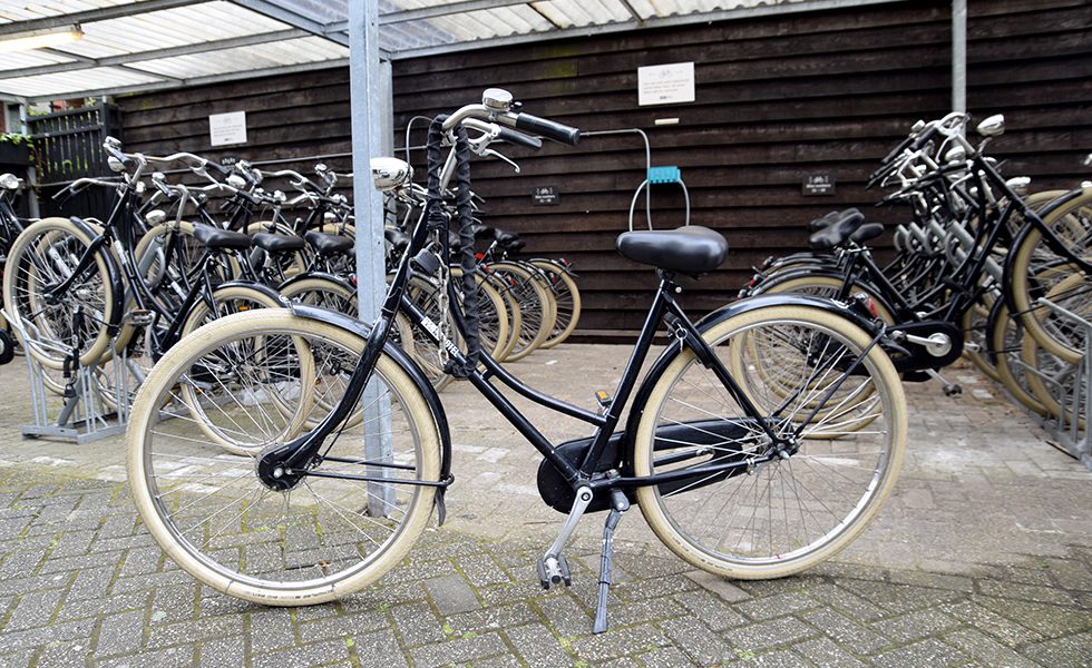 市内でレンタル自転車にチャレンジ。オランダではペダルを逆回転してブレーキをかけるタイプが一般的。