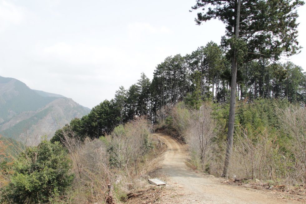 観光地化されていない、素朴な原風景が広がる檜原村。