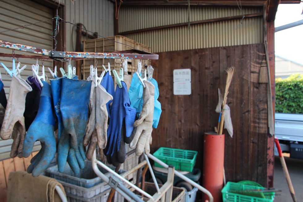 作業小屋の脇に吊るされていたゴム手袋や農具類。人の手をかけて野菜が育てられていることが伝わって来る。