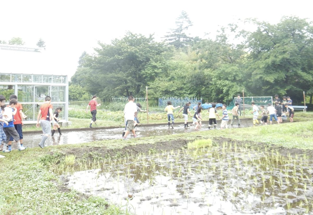 東京学芸大学の教材植物園では小学生が稲作体験したり、市や団体が地域の方への環境教育のために畑を活用したりと、地域の連携も。より多くの教育機関に使ってもらったり、学生からの認知度を上げるためにも活用のバリエーションを広げることが課題だという