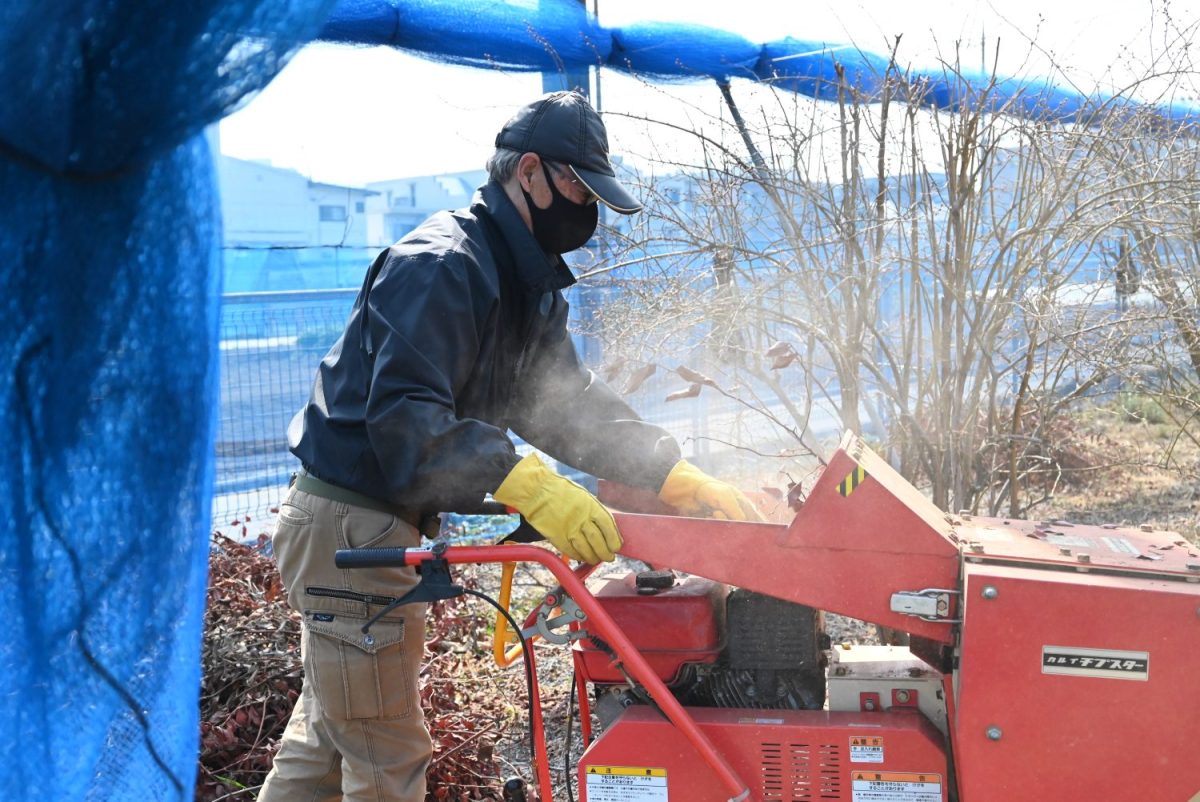 剪定した枝はチップ状に砕いて、木の根本に敷き詰める。雑草は抜か刈るだけにとどめることで、木の乾燥を防いでいる