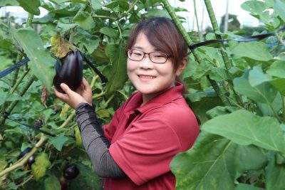 農業女子、東京で農園を開く