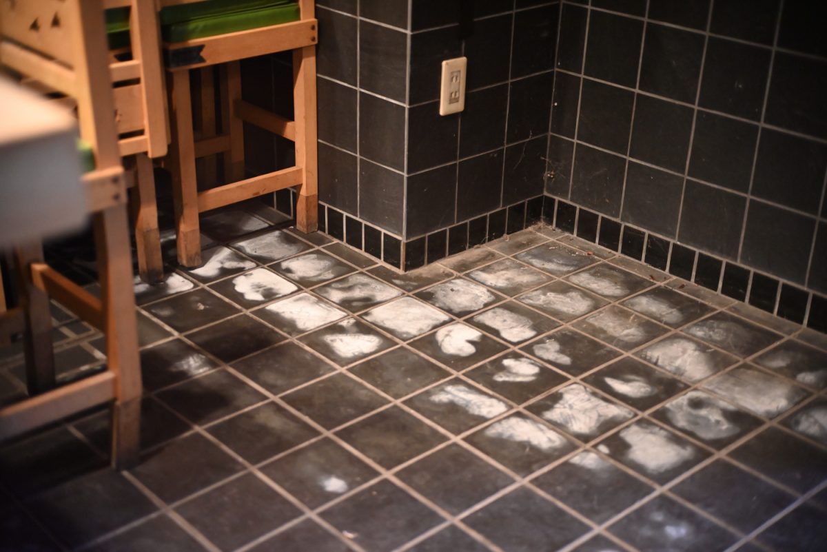 タイル張りの床は一部白くハゲが見られるが、むしろ“味”にもなりそうな雰囲気。気になる場合は補修などを要相談