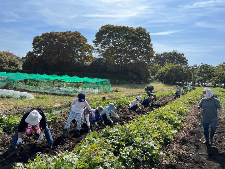 援農ボランティアや収穫体験など、畑が様々な人が集まる場にもなっている