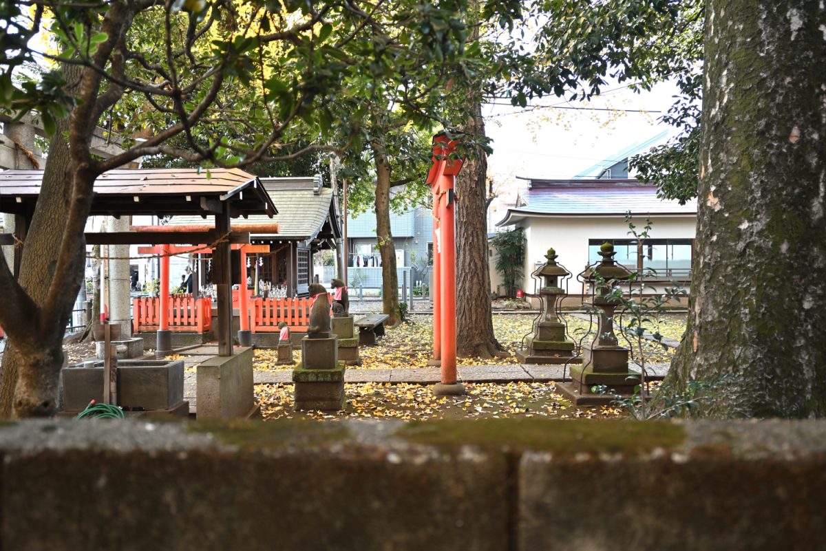 神社側の窓を開けると鳥居とお稲荷さんが見える