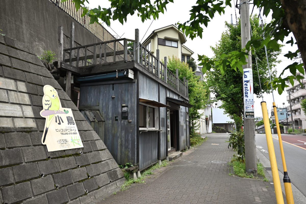 屋根の上に木材の柱が立っているからか、小さなお城のようにも見えてくる外観