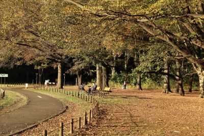 編集部のおすすめイベント「11月」