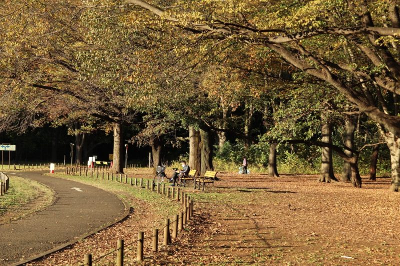 編集部のおすすめイベント「11月」