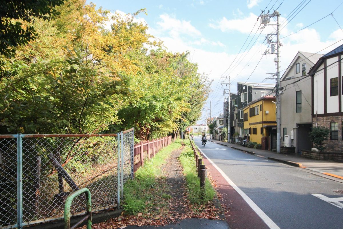 小金井公園の北側エリア。小金井公園や多摩川上水、桜堤が近く、自転車の移動や散歩も楽しめそう