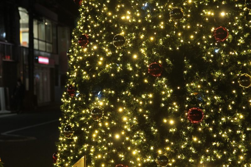 編集部のおすすめイベント「12月」