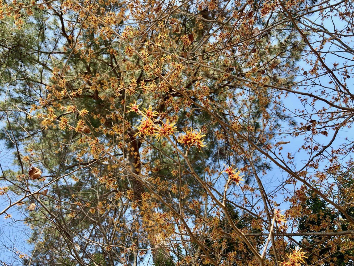 編集部のおすすめイベント「3月」