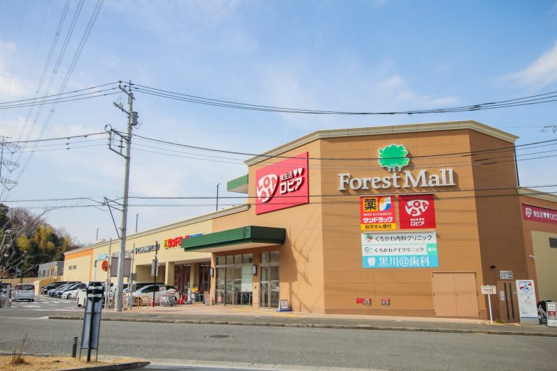 ショッピングセンターにあるロピアは地元でも人気のスーパー