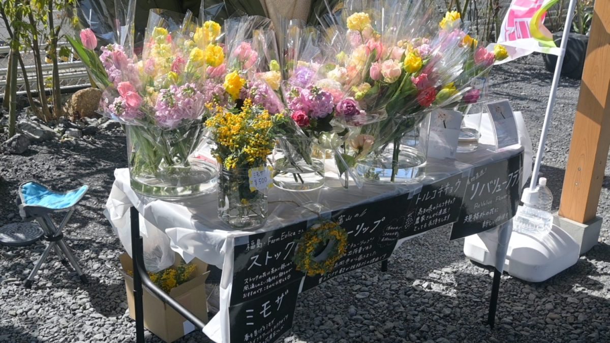 チューリップやミモザなど、規格外とは思えない季節の花がずらり